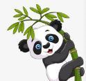 黄色软件下载入口APP应用